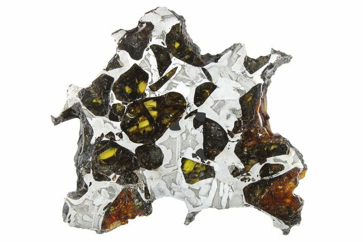 Pallasite Meteorite ( g) Slice - NWA #266442